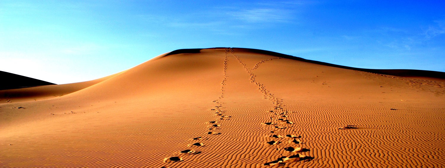 intro-gobi